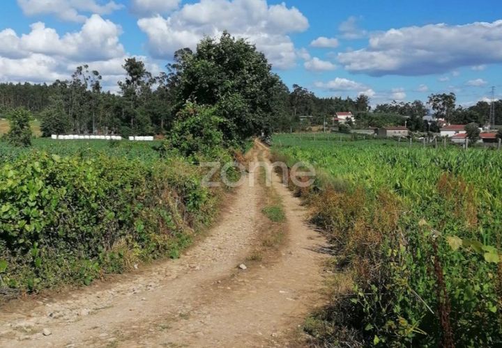 Grond in Braga, Braga, Braga - € 55.000 | Ref: ZMPT564744 - foto 1
