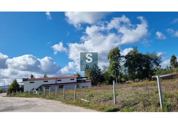 Tomt i Mortagua, Viseu, Mortagua - € 45 000 | Ref: SH0003-2024 - foto 1