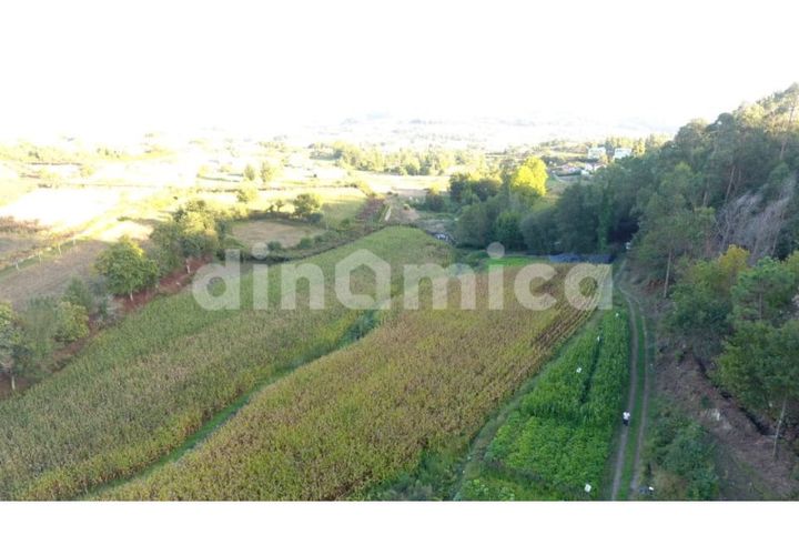 Terra a Joane, Braga, Joane - € 75.000 | Ref: 1923 - foto 1