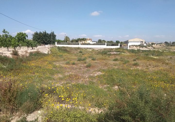 Tomt i Elche, Alicante, Elche - € 115 000 | Ref: JD188 - foto 1