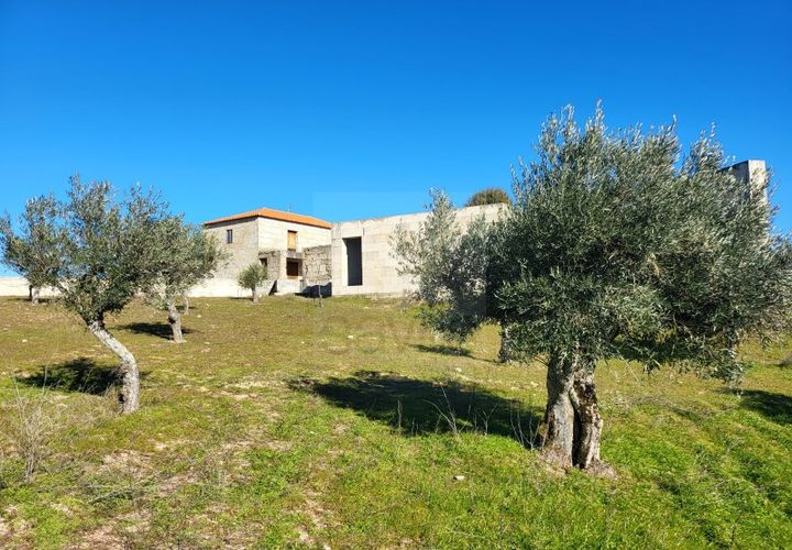 Farm i Possacos, Vila Real, Possacos - € 1.200.000 | Ref: PRT11526 - foto 1