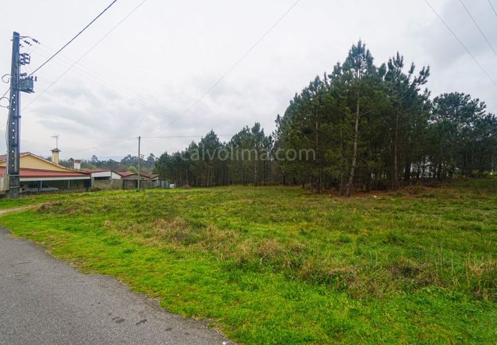 Terra a Gandra e Taiao, Viana do Castelo, Gandra e Taiao - € 150.000 | Ref: 4075 - foto 1