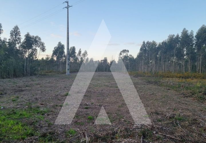 Terra a Sosa, Aveiro, Sosa - € 55.000 | Ref: 1020974/24 FR - foto 1