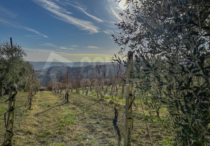 Erhvervsejendom i Monte Roberto, Ancona, Monte Roberto - € 60.000 | Ref: 2890 - foto 1
