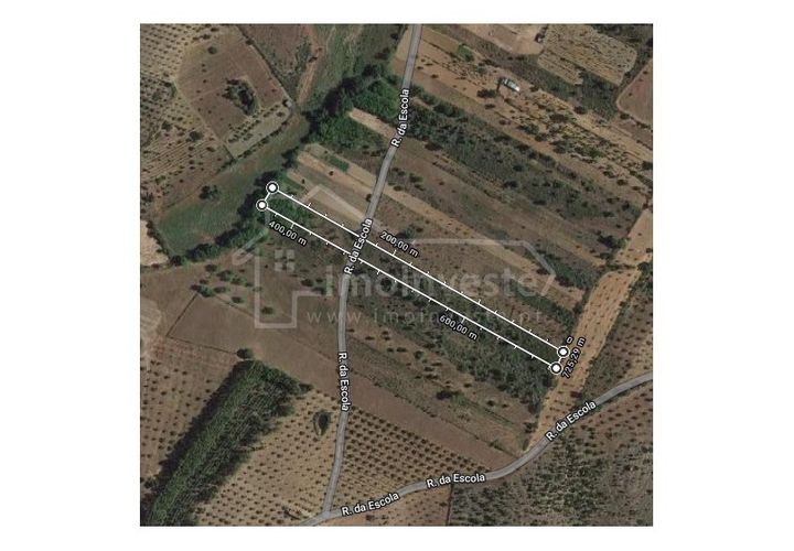 Terra a Ninho do Acor, Castelo Branco, Ninho do Acor - € 11.000 | Ref: SÒL_862 - foto 1