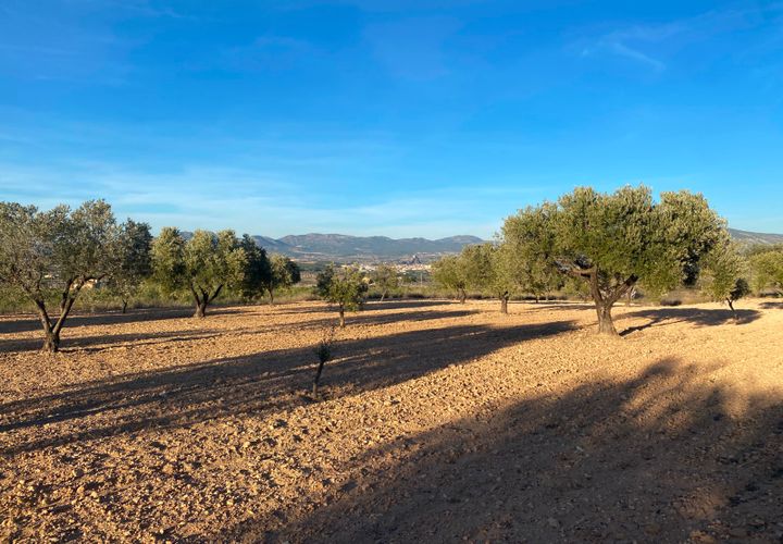 Helårsgrund i Elda, Alicante, Elda - € 50.000 | Ref: T23114 - foto 1