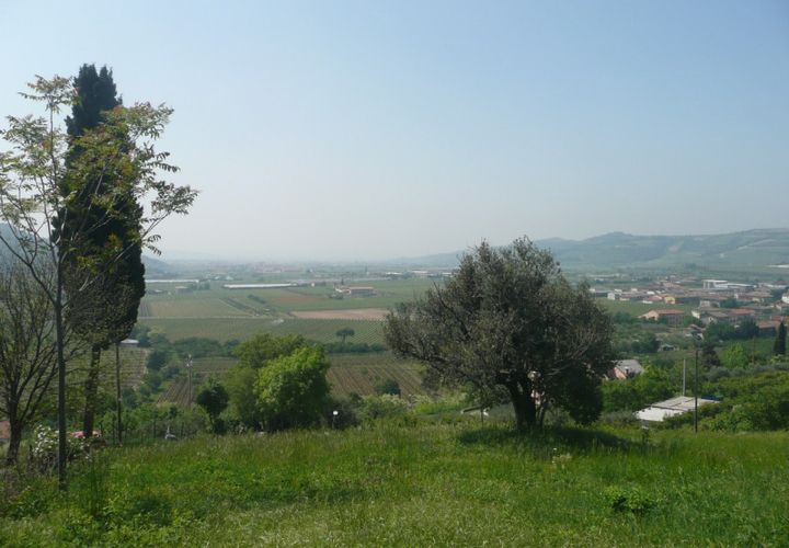 Terra a Tregnago, Verona, Tregnago - € 210.000 | Ref: 1396 - foto 1