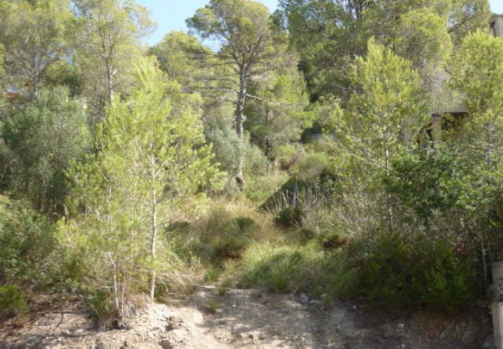 Helårsgrund i Capdepera, Mallorca, Capdepera - € 850.000 | Ref: 3292U - foto 1