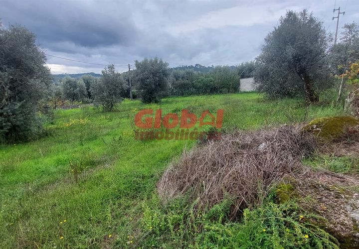 Helårsgrund i Viseu, Viseu, Viseu - € 52.000 | Ref: 189232273 - foto 1