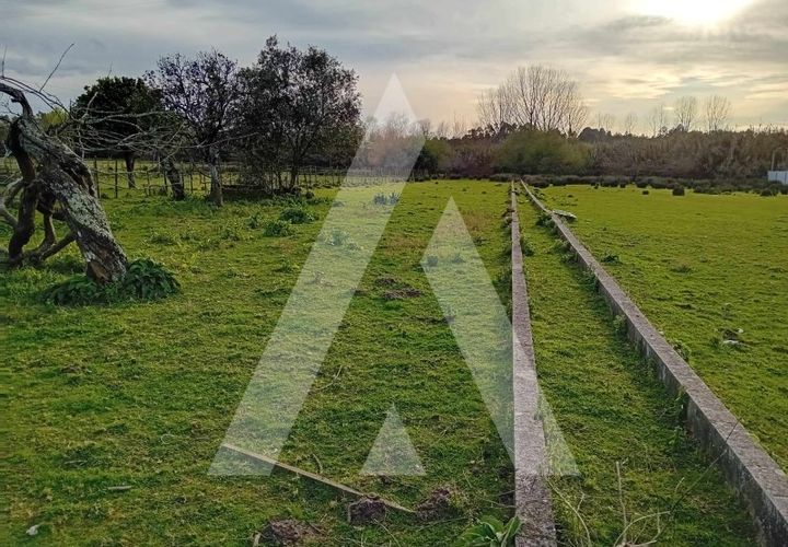 Grond in Anadia, Aveiro, Anadia - € 35.000 | Ref: 1051160/24 OB - foto 1