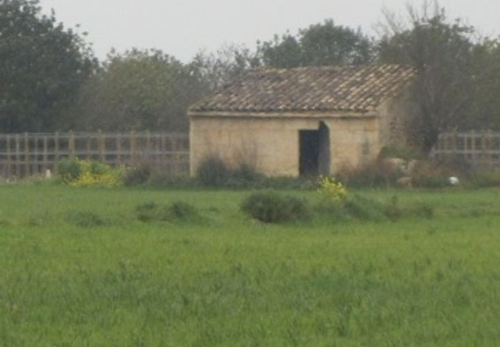 Terra a Sencelles, Mallorca, Sencelles - € 850.000 | Ref: 2133 - foto 1
