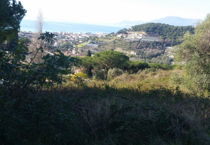 Terra a Bordighera, Imperia, Bordighera - € 1.000.000 | Ref: AG-DOM PA04 - foto 1