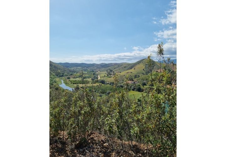 Terreno en Monchique, Faro, Monchique - € 64.900 | Ref: SÒL_27 - photo 1