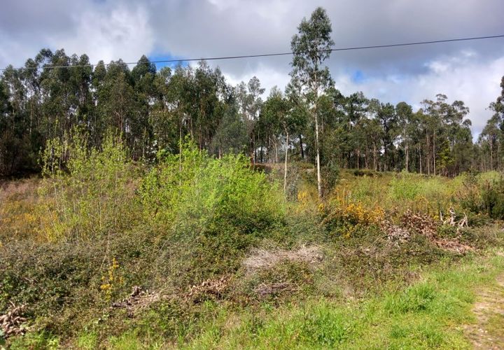 Helårsgrund i Cesar, Aveiro, Cesar - € 219.000 | Ref: 1060852/24 AL - foto 1