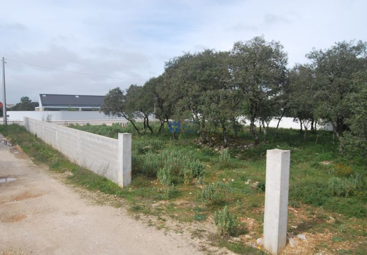 Terra a Fatima, Santarem, Fatima - € 130.000 | Ref: T1100_2023 - foto 1