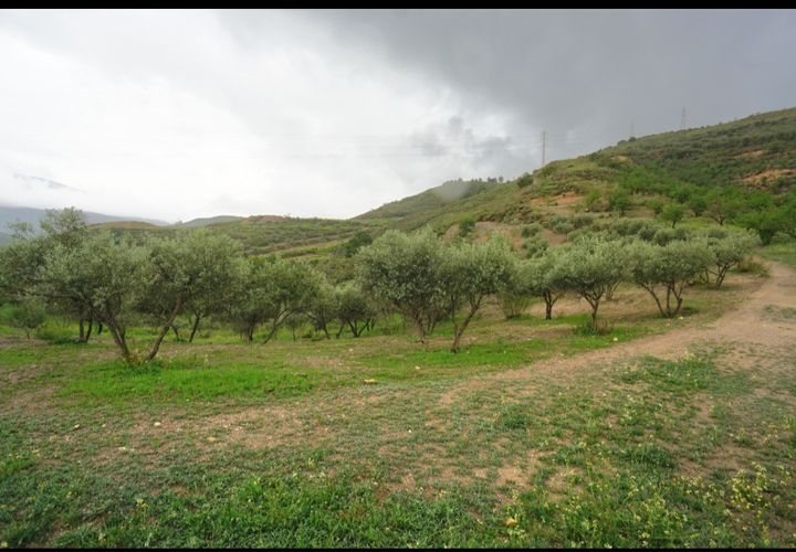 Helårsgrund i Orgiva, Granada, Orgiva - € 30.000 | Ref: OC536 - foto 1