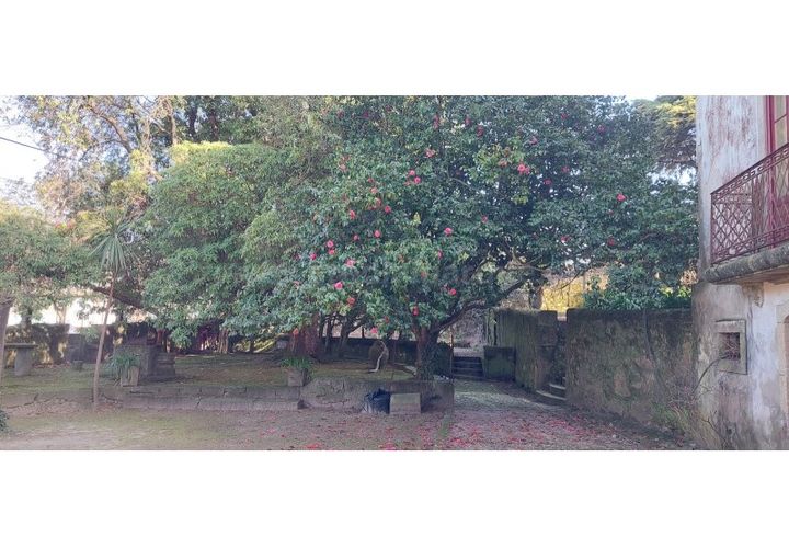 Farm i Vila do Conde, Porto, Vila do Conde - € 950.000 | Ref: 20537 - foto 1
