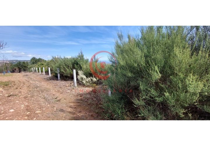 Helårsgrund i Murca, Vila Real, Murca - € 12.500 | Ref: CM01-0003 - foto 1