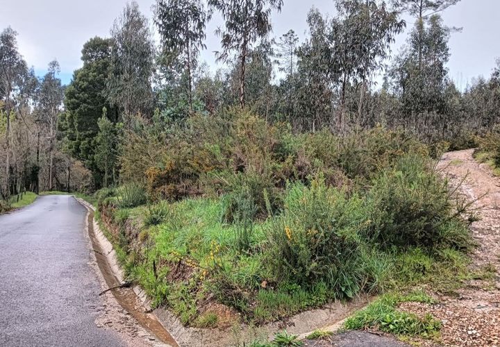 Terra a Angeja, Aveiro, Angeja - € 49.000 | Ref: AV24/032 - foto 1