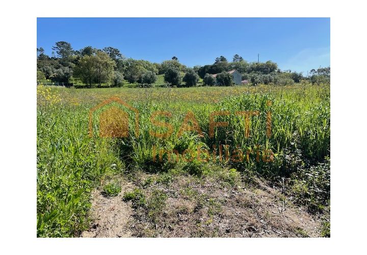 Helårsgrund i Tomar, Santarem, Tomar - € 37.000 | Ref: SAFTI:004910 - foto 1