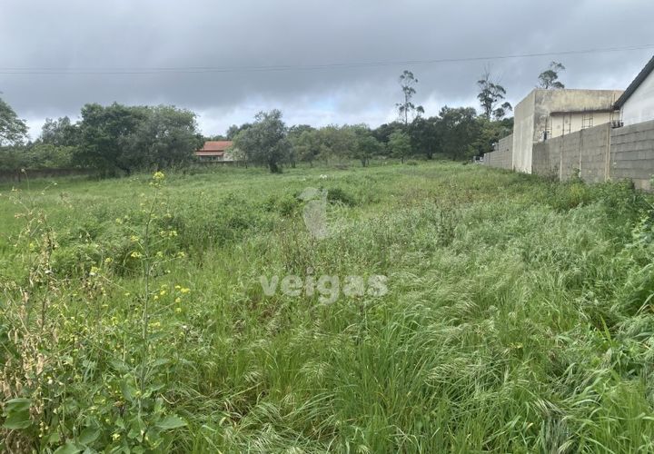 Terra a Turquel, Leiria, Turquel - € 25.000 | Ref: CAL-215860 - foto 1