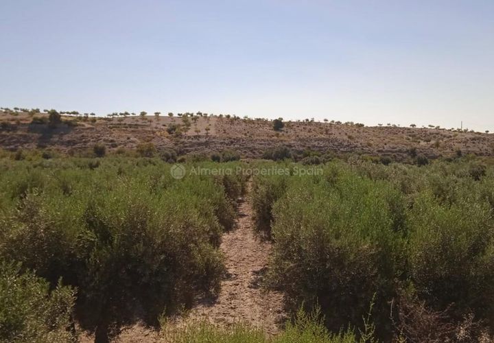Helårsgrund i Albox, Almeria, Albox - € 45.000 | Ref: APS 1807 - foto 1