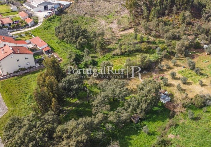 Terreno en Proenca-a-Nova, Castelo Branco, Proenca-a-Nova - € 75.000 | Ref: SA168 - photo 1