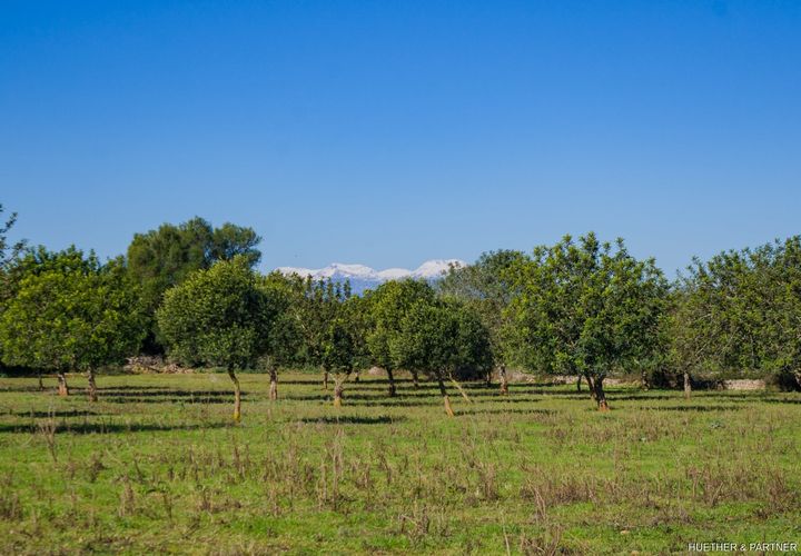 Terra a Manacor, Mallorca, Manacor - € 500.000 | Ref: 23-012 - foto 1
