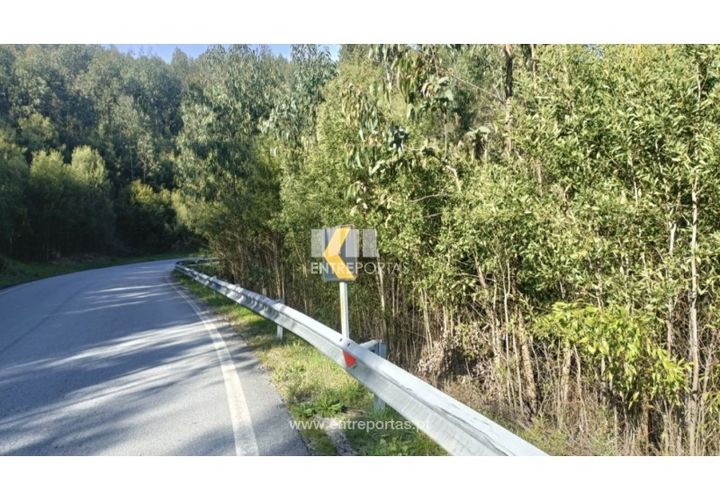Helårsgrund i Penafiel, Porto, Penafiel - € 18.500 | Ref: MC09647 - foto 1