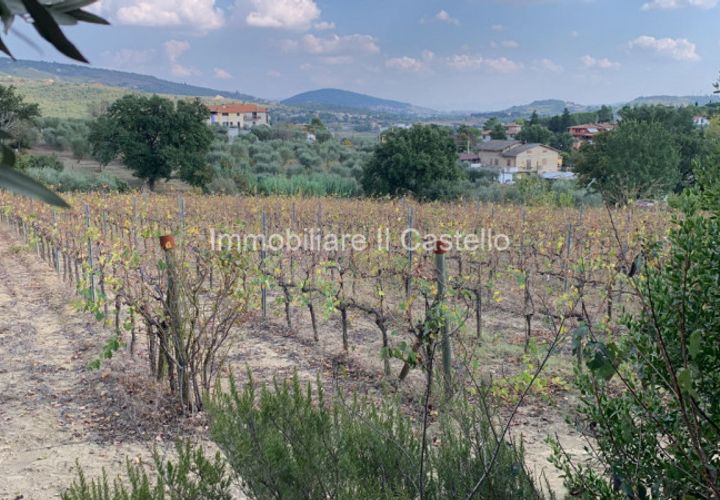 Terra a Corciano, Perugia, Corciano - € 78.000 | Ref: TE89 - foto 1