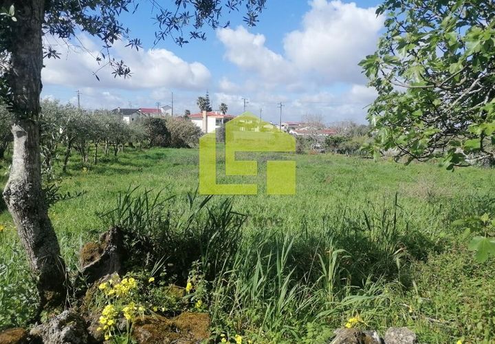Helårsgrund i Condeixa-a-Nova, Coimbra, Condeixa-a-Nova - € 55.000 | Ref: LT1131 - foto 1