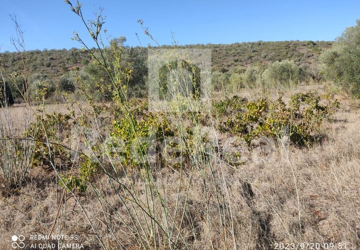 Helårsgrund i Benafim, Faro, Benafim - € 30.000 | Ref: 021240025 - foto 1