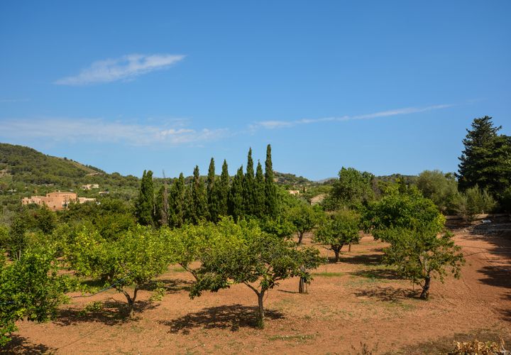 Finca i Son Servera, Mallorca, Son Servera - € 1.260.000 | Ref: FALC-CrYa-36828 - foto 1