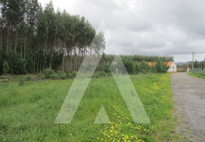 Helårsgrund i Agueda, Aveiro, Agueda - € 32.000 | Ref: 1051175/24 OB - foto 1