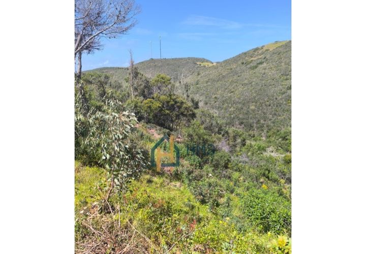 Terra a Bordeira, Faro, Bordeira - € 12.000 | Ref: HMSTR069 - foto 1