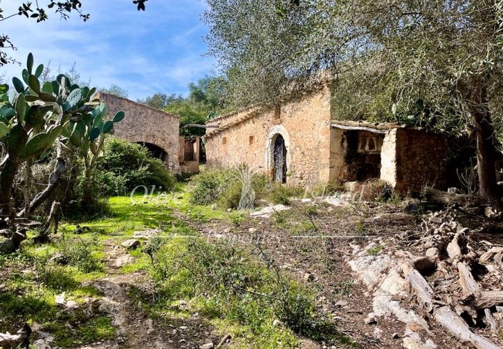 Ruin i Sineu, Mallorca, Sineu - € 850 000 | Ref: SIN471 - foto 1