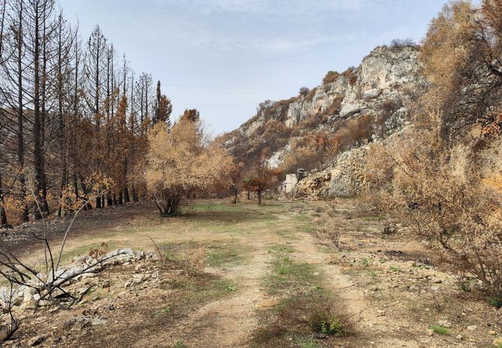 Erhvervsejendom i Melilli, Siracusa, Melilli - € 18.000 | Ref: TR1116 - foto 1