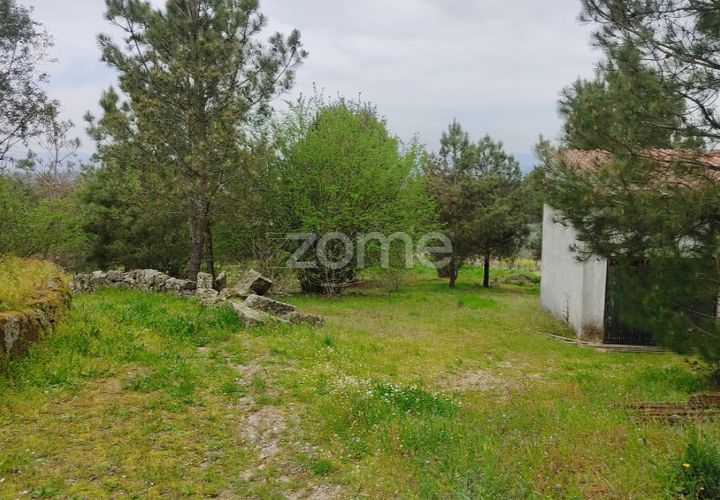 Terra a Nelas, Viseu, Nelas - € 75.000 | Ref: ZMPT566039 - foto 1