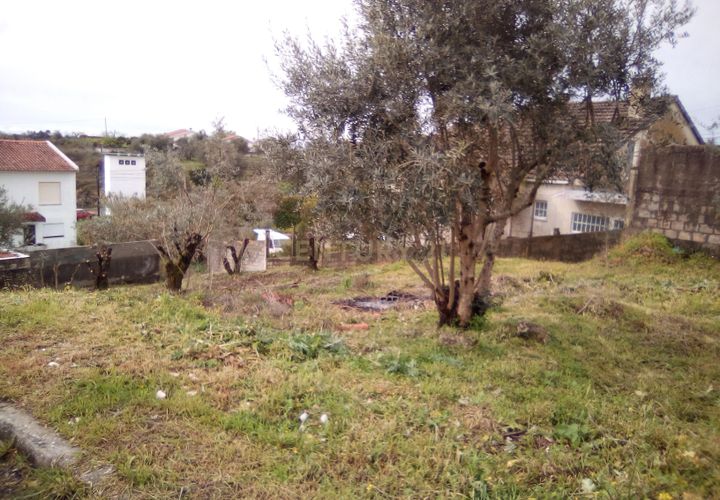 Helårsgrund i Tomar, Santarem, Tomar - € 19.000 | Ref: C0452-00285 - foto 1