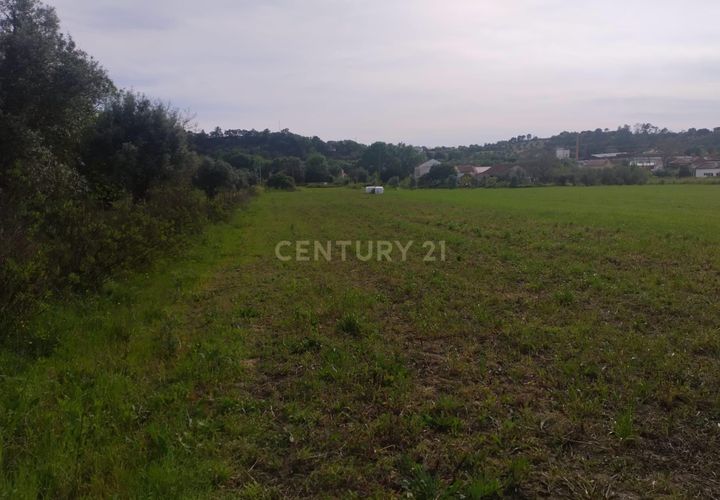 Helårsgrund i Tomar, Santarem, Tomar - € 39.000 | Ref: C0452-00318 - foto 1