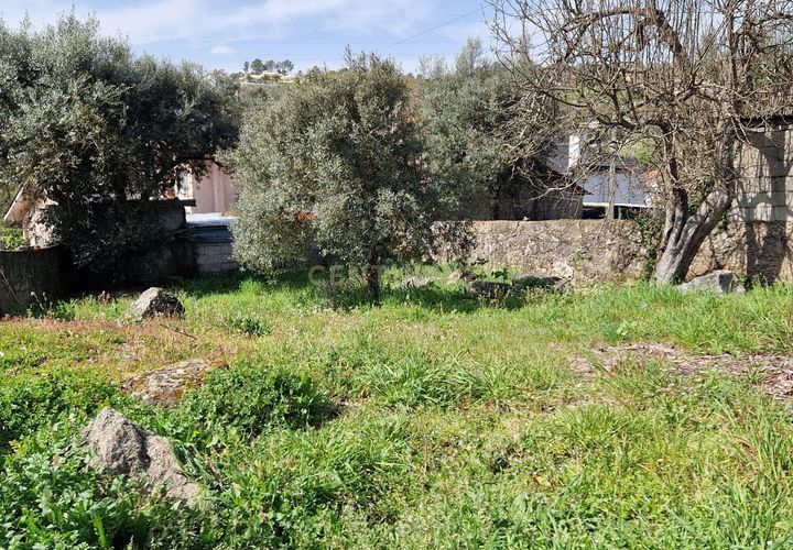 Helårsgrund i Viseu, Viseu, Viseu - € 25.000 | Ref: C0203-02271 - foto 1