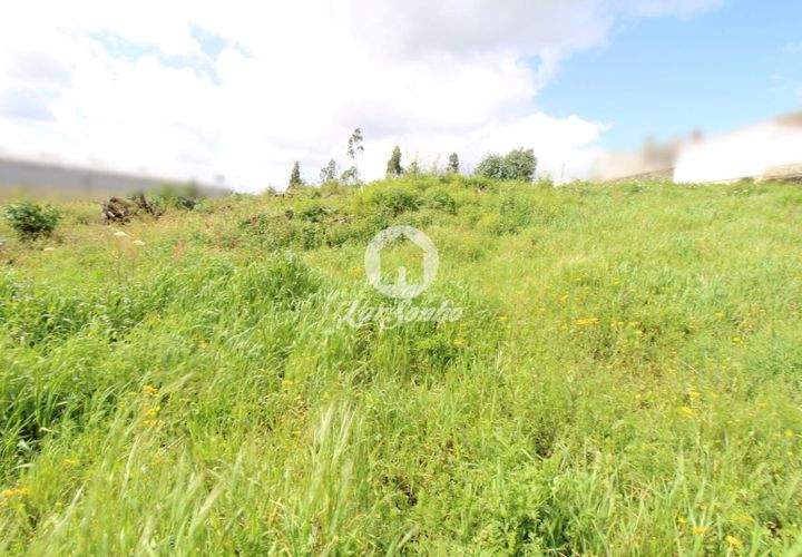 Helårsgrund i Trofa, Porto, Trofa - € 390.000 | Ref: 240-T-25063 - foto 1