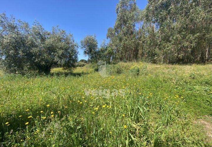 Helårsgrund i Rio Maior, Santarem, Rio Maior - € 16.000 | Ref: CAL-215960 - foto 1