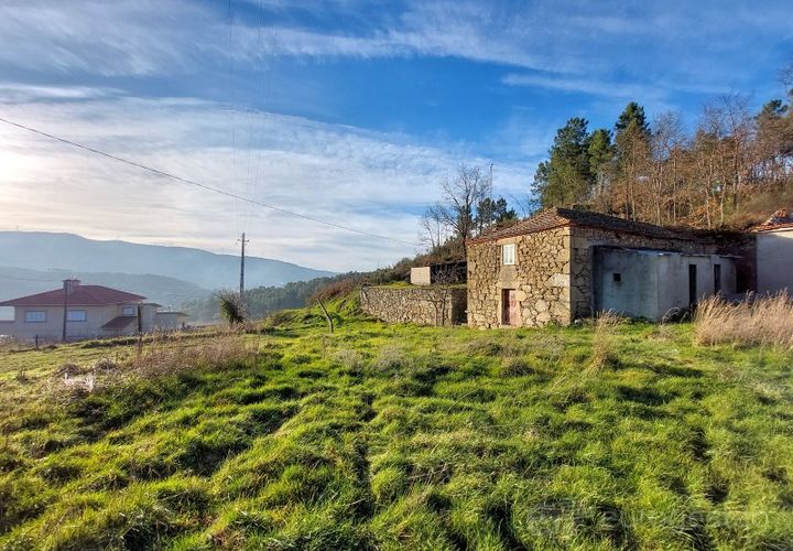 Farm i Tarouca, Viseu, Tarouca - € 110.000 | Ref: LMG_3915 - N - foto 1