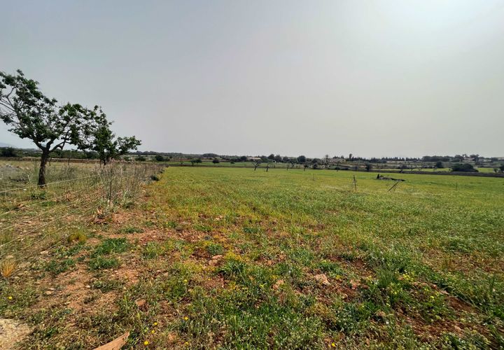 Tomt i Santa Margalida, Mallorca, Santa Margalida - € 1 350 000 | Ref: 79175 - foto 1