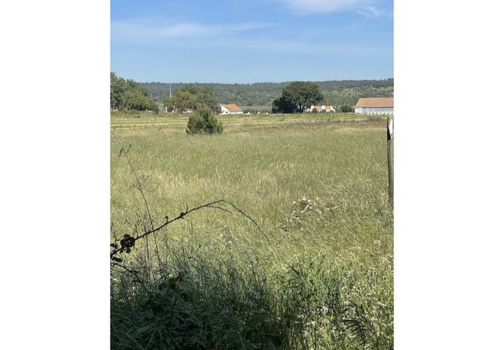 Farm hus i Couco, Santarem, Couco - € 410.000 | Ref: MPNL5013 - foto 1