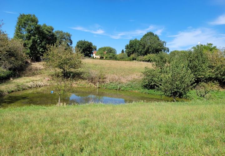 Villa i Roumegoux, Tarn, Roumegoux - € 198.000 | Ref: A5306 - foto 1