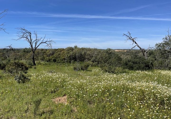 Helårsgrund i Paderne, Faro, Paderne - € 39.000 | Ref: SÒL_52054 - foto 1