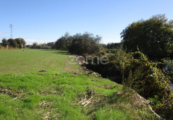Helårsgrund i Braga, Braga, Braga - € 40.000 | Ref: ZMPT566345 - foto 1