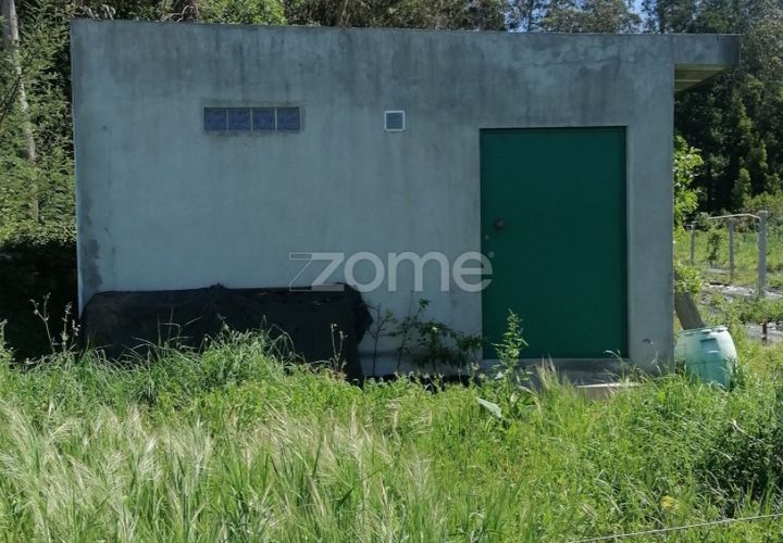 Grond in Braga, Braga, Braga - € 65.000 | Ref: ZMPT566378 - foto 1
